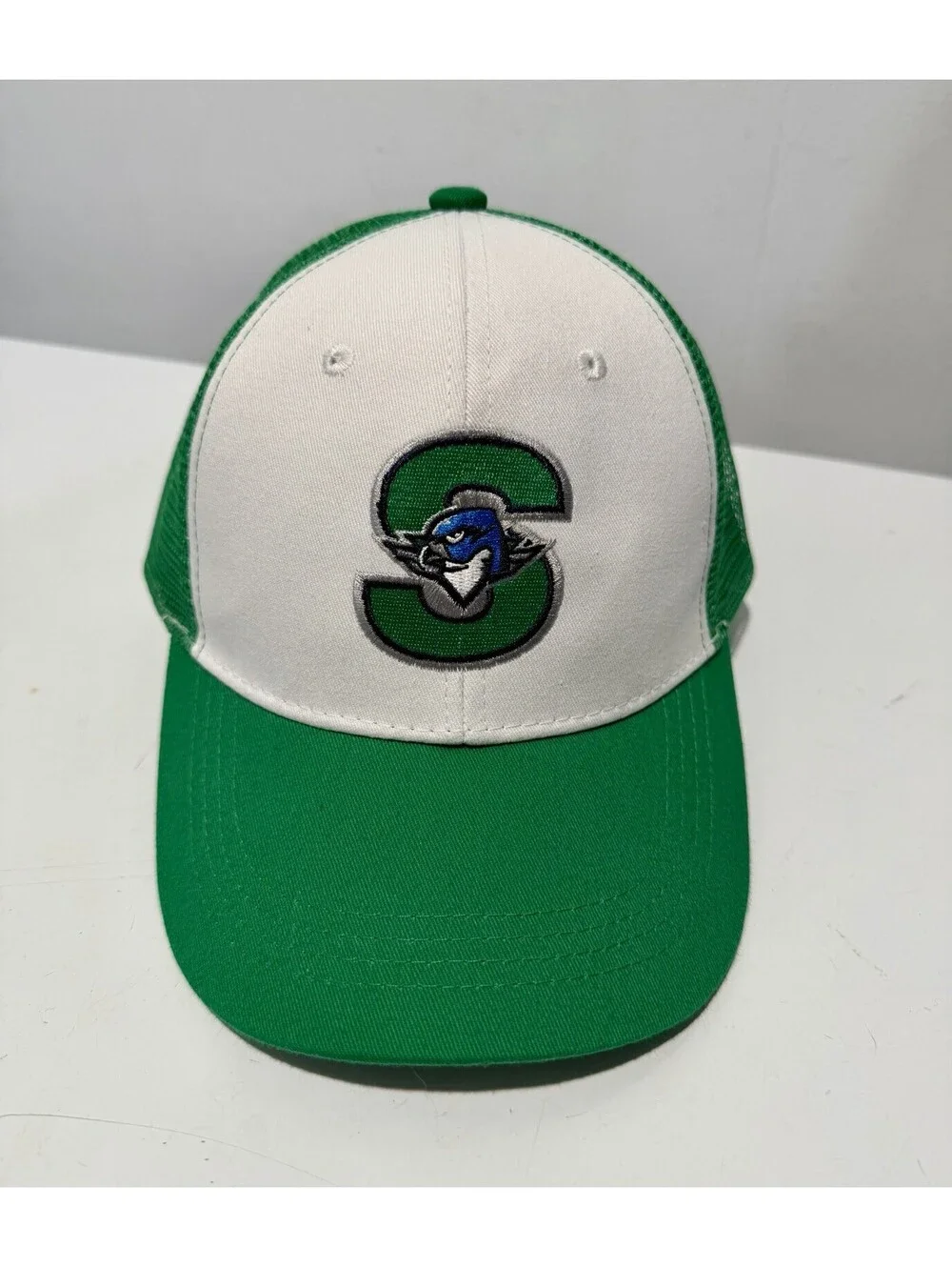 Unbranded Springfield Thunderbirds Cap Hat OSFA Adjustable Strap AHL Hockey Fit